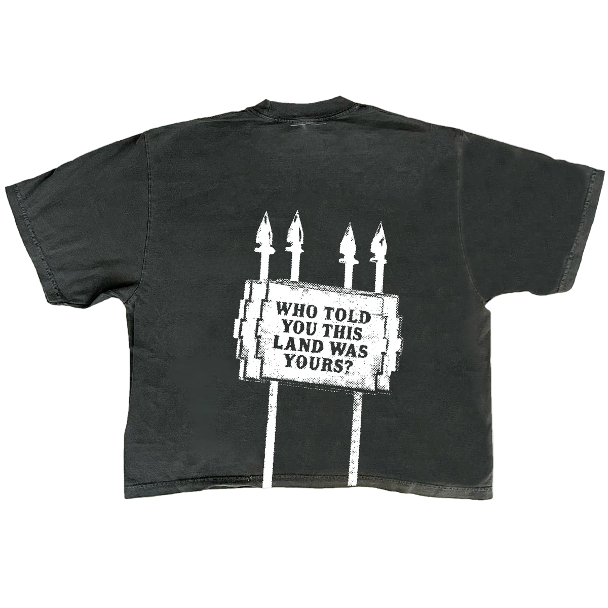 NATIVE LANDS TEE